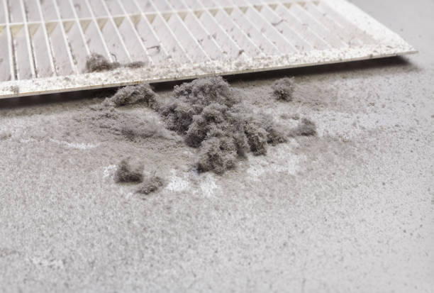 Best Home Air Vent Cleaning  in Durand, IL