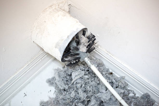Air Duct Mold Removal in IL
